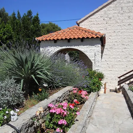 Lavanda